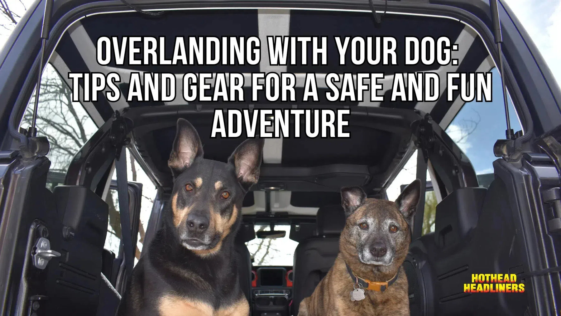 How Hothead Headliners benefit dogs