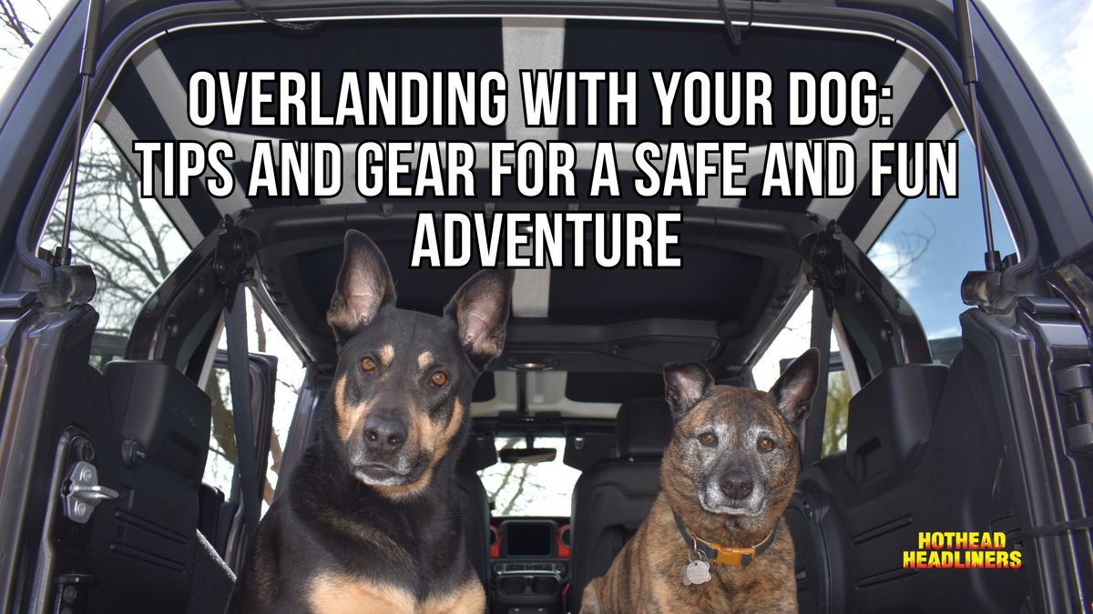 Overlanding with Your Dog: Tips and Gear for a Safe and Fun Adventure