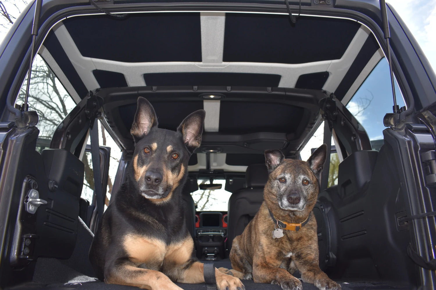 Built for Real Drivers